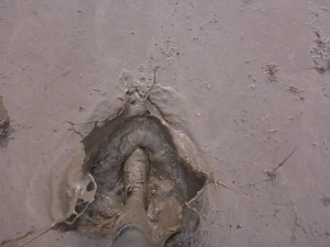 This was the 'good' wet mud, easier to go through! (Photo Credit, Wendy B)